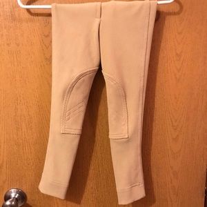 Windsor Riding Breeches